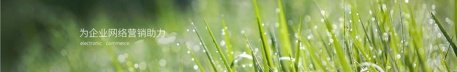 ܾƼ޹˾